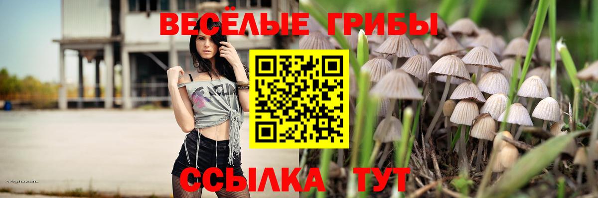 Армавир  Псилоцибиновые грибы мицелий  Галлюциногенные грибы Magic Shrooms  Вход с VPN 